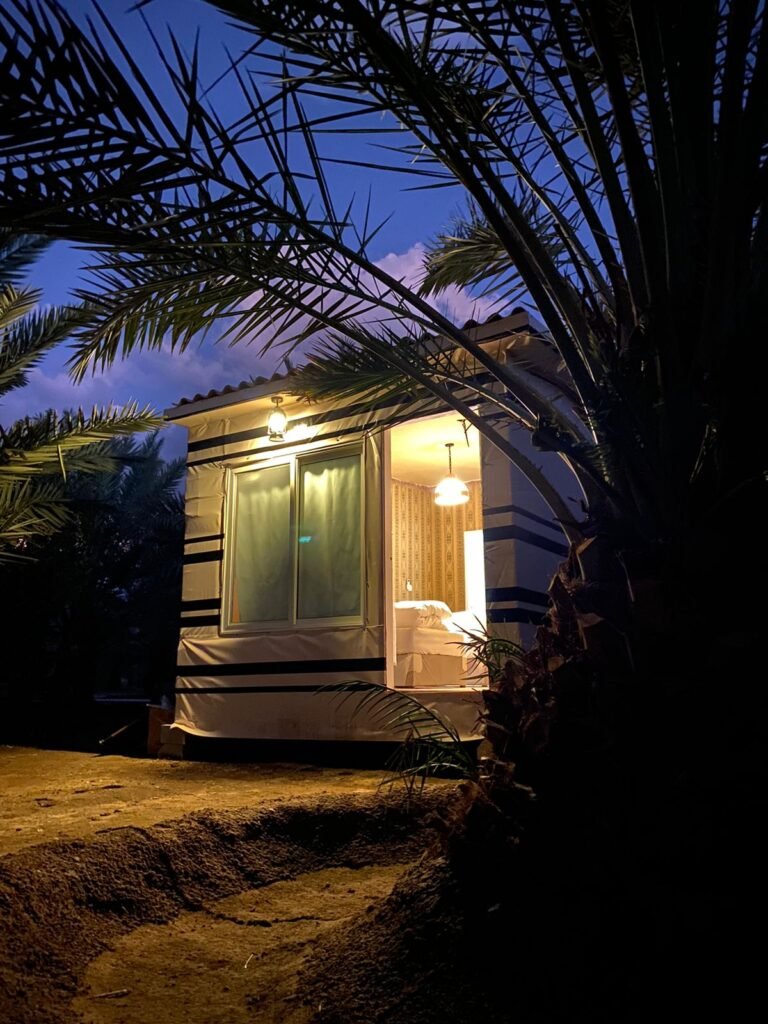 palm tree cabin 9